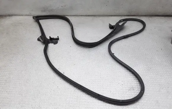 Lexus NX Rubber seal front coupe door 