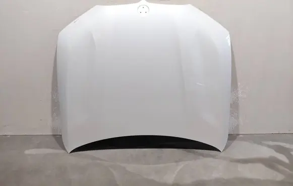 BMW X7 G07 Engine bonnet/hood 41007933467