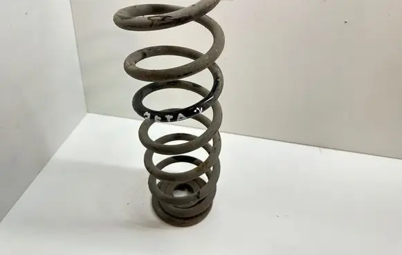 Volkswagen Jetta V Rear coil spring