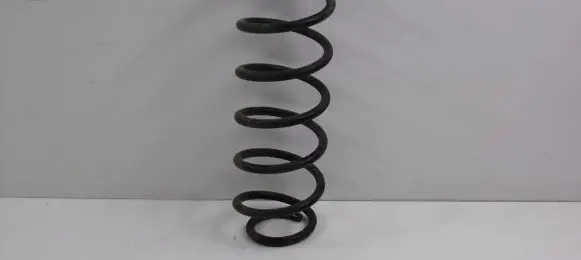 Ford Fusion Rear coil spring