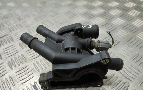 Thermostat/thermostat housing