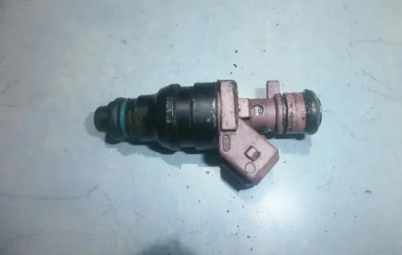 Peugeot 406 Fuel injector 0280155216