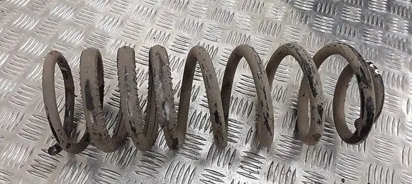 Ford Transit - Tourneo Connect Rear coil spring