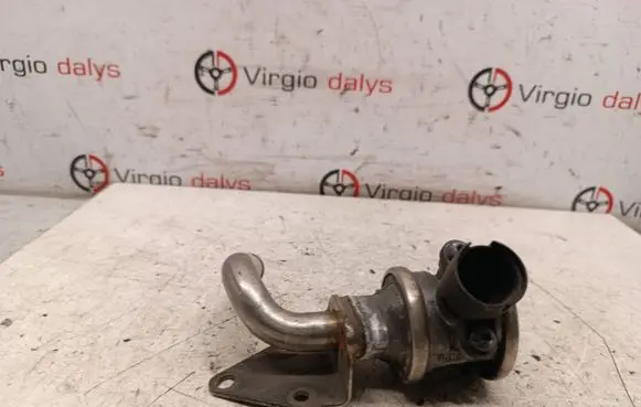 BMW 3 E46 EGR valve 722295