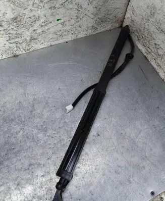 Toyota RAV 4 (XA50) Tailgate strut 
