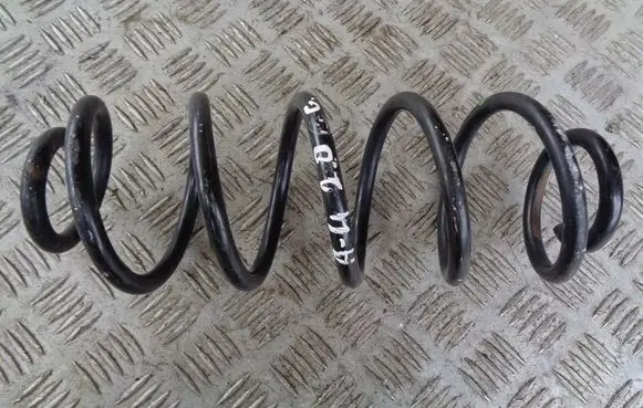 Rear coil spring