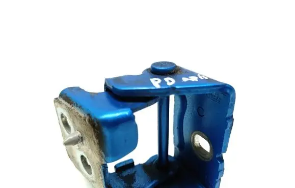 Citroen C3 Picasso Front door lower hinge 