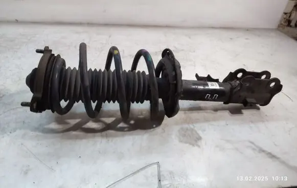 Hyundai Tucson TL Front shock absorber with coil spring
