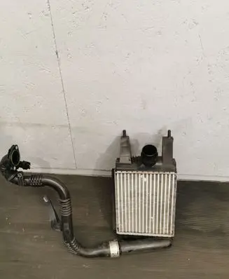 Nissan Juke I F15 Intercooler radiator 144613ZU0B