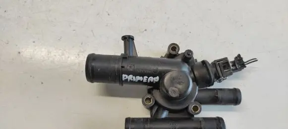 Thermostat/thermostat housing
