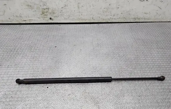 Front bonnet/hood damper/strut