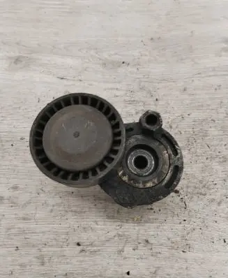 Renault Scenic II - Grand scenic II Generator/alternator belt tensioner 