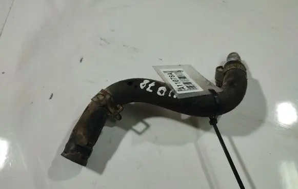 Honda Jazz Engine coolant pipe/hose 