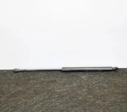 Dacia Sandero Tailgate/trunk strut/damper 904529943R