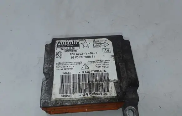 Peugeot 206 Airbag control unit/module 602327300 9650136980