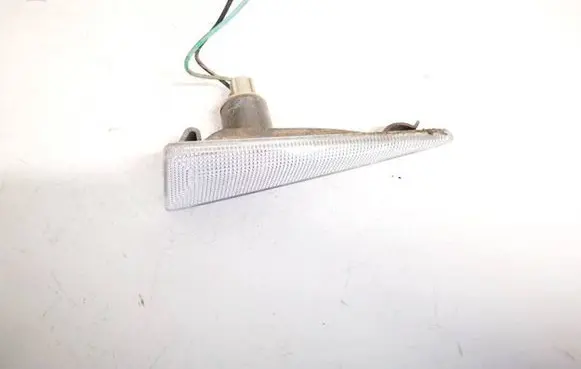 Front fender indicator light