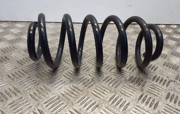 Front coil spring