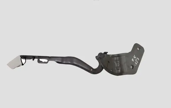 Renault Clio III Engine bonnet/hood hinges