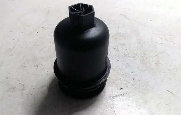 Citroen Xsara Picasso Oil filter cover 9638493380