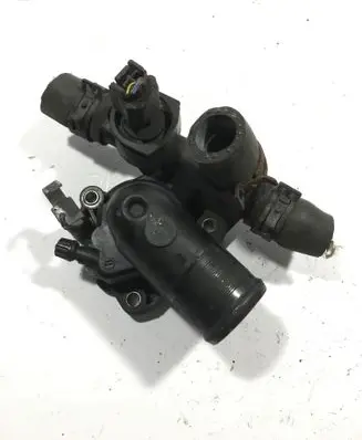 Thermostat/thermostat housing
