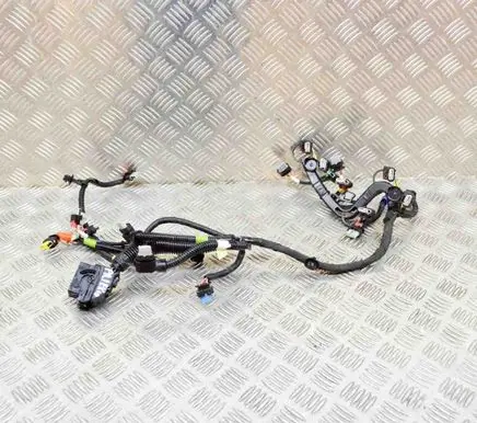 Tesla Model Y Other wiring loom P248905600B 248905600B