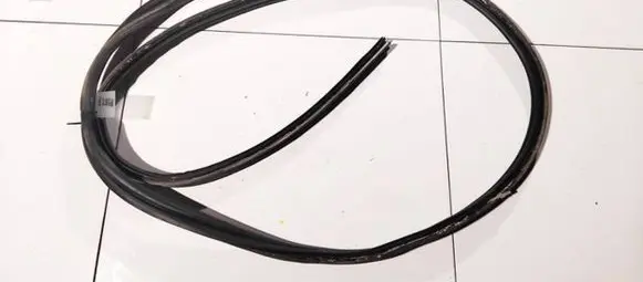 Ford Focus C-MAX Rubber seal front coupe door 