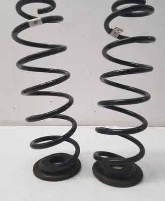 Rear coil spring