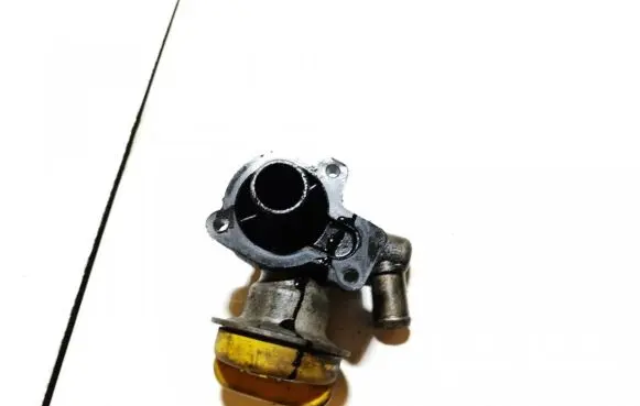 Opel Signum Turbo turbocharger oiling pipe/hose 55195251