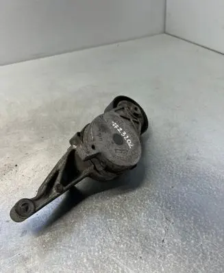 Volkswagen PASSAT B6 Belt tensioner pulley 036903315