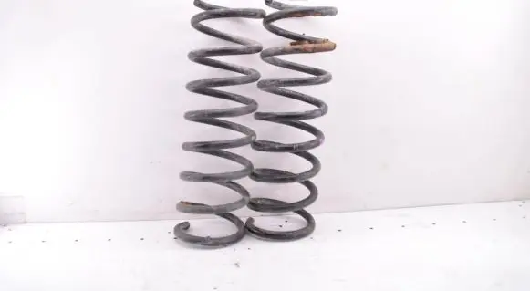 Ford C-MAX II Rear coil spring