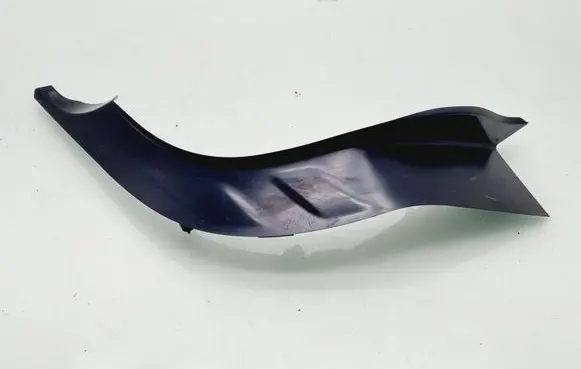 Rear/tail light trim molding