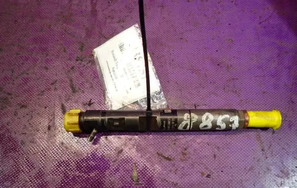 Renault Megane II Fuel injector 8200365186