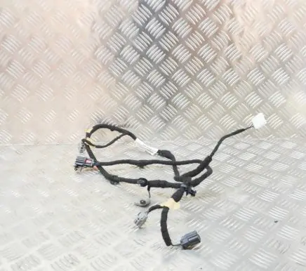Ford Fiesta Other wiring loom H1BT17K400CCB