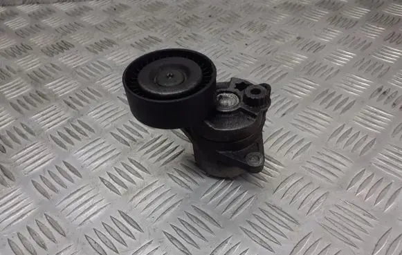Mercedes-Benz E W210 Timing belt/chain tensioner A6462000570