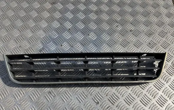 Volkswagen PASSAT B6 Front bumper lower grill 3C0853677
