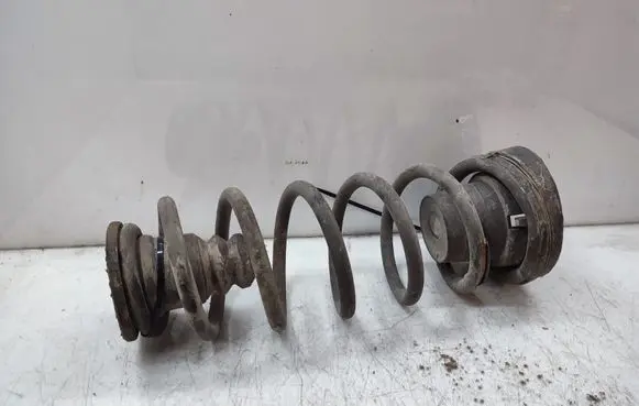 Rear coil spring