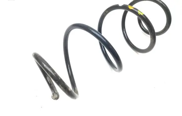 Rear coil spring