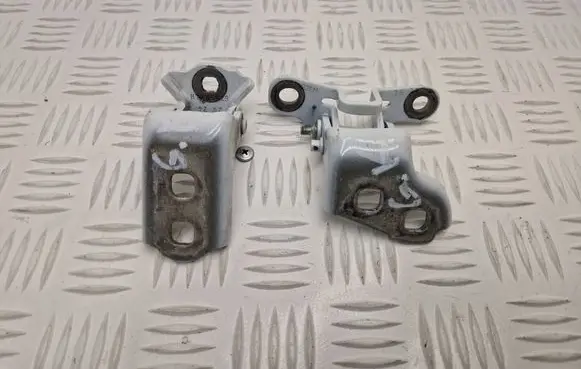Renault Scenic E-Tech V Rear door hinge set 