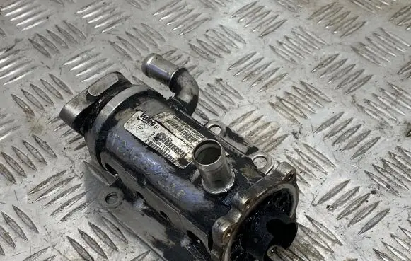 Renault Trafic II (X83) EGR valve cooler H8200340616 602T190028 876481V