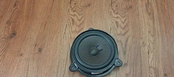 Rear door speaker