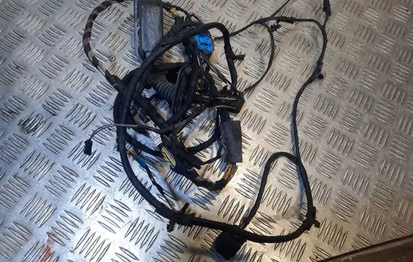 BMW 7 F01 F02 F03 F04 Rear door wiring loom 9234360