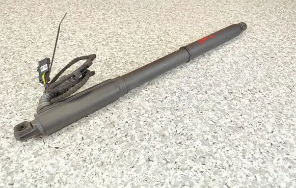Tailgate strut