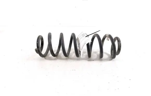 Rear coil spring