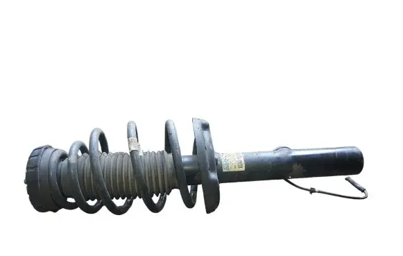 Opel Insignia A Front shock absorber/damper 22972245