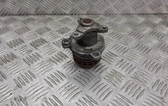 Renault Scenic II - Grand scenic II Water pump