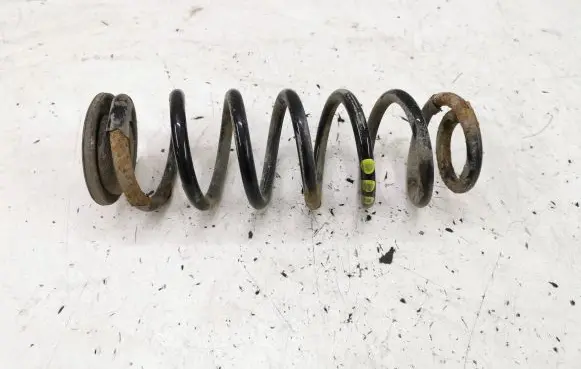 Volkswagen PASSAT B6 Rear coil spring