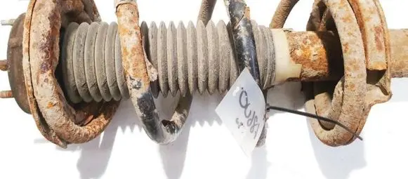 Front coil spring