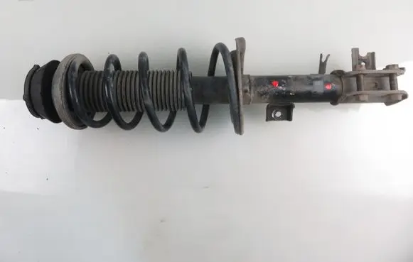 Fiat Sedici Front shock absorber with coil spring 4160179UF