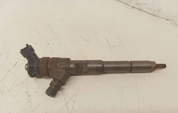 Dacia Dokker Fuel injector H8201453073 0445110652