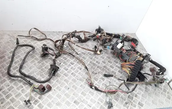 Renault 19 Other wiring loom